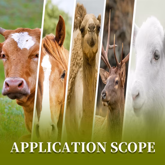 Комбикормовая добавка для овец для стимулирования роста животных, увеличения живой массы и повышения сопротивляемости, 15 кг/ведро